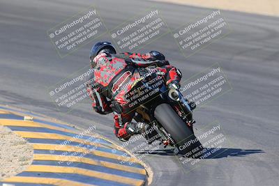 media/Nov-12-2023-SoCal Trackdays (Sun) [[5d1fba4e7d]]/Turn 10 Backside (115pm)/